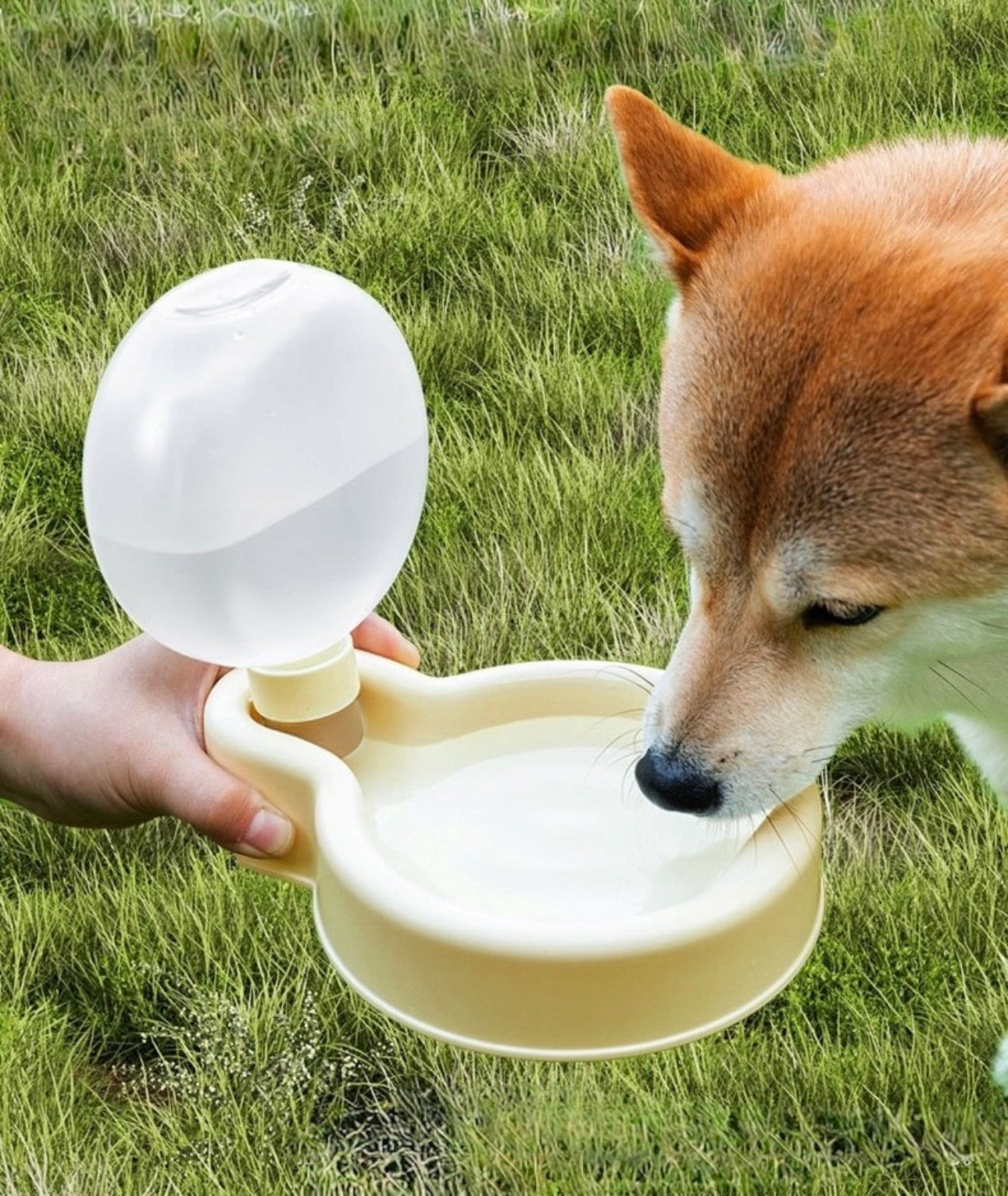 Bærbar vannflaske til hund og katt – 500 ml, grønn, laget av BPA-fri PP-plast, lekkasjesikker og perfekt til tur og reise