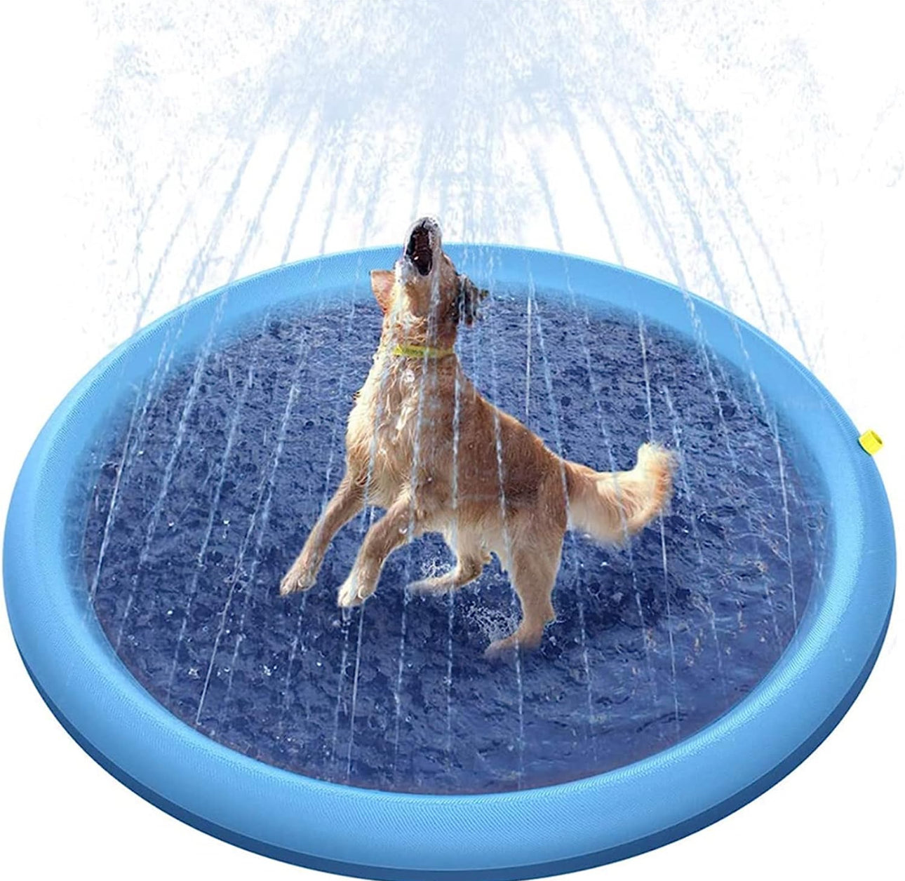 Hund nyter kjølebasseng med vannsprut – 100 cm diameter, blå PVC-matte, perfekt til utendørs bruk om sommeren