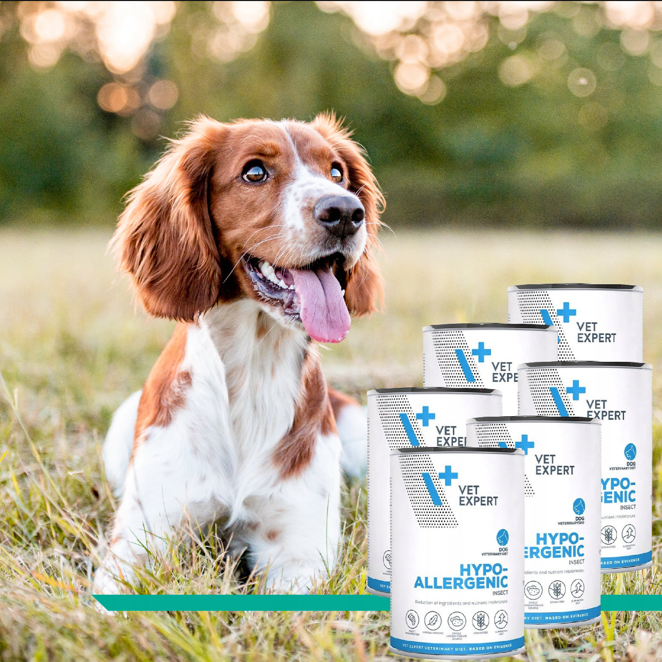 VET EXPERT HYPOALLERGENIC INSECT våtfôr 6x400g – hypoallergenisk hundemat med insektprotein, kornfri og skånsom for sensitiv mage. Veterinærgodkjent spesialfôr for hunder med allergi og matintoleranse.