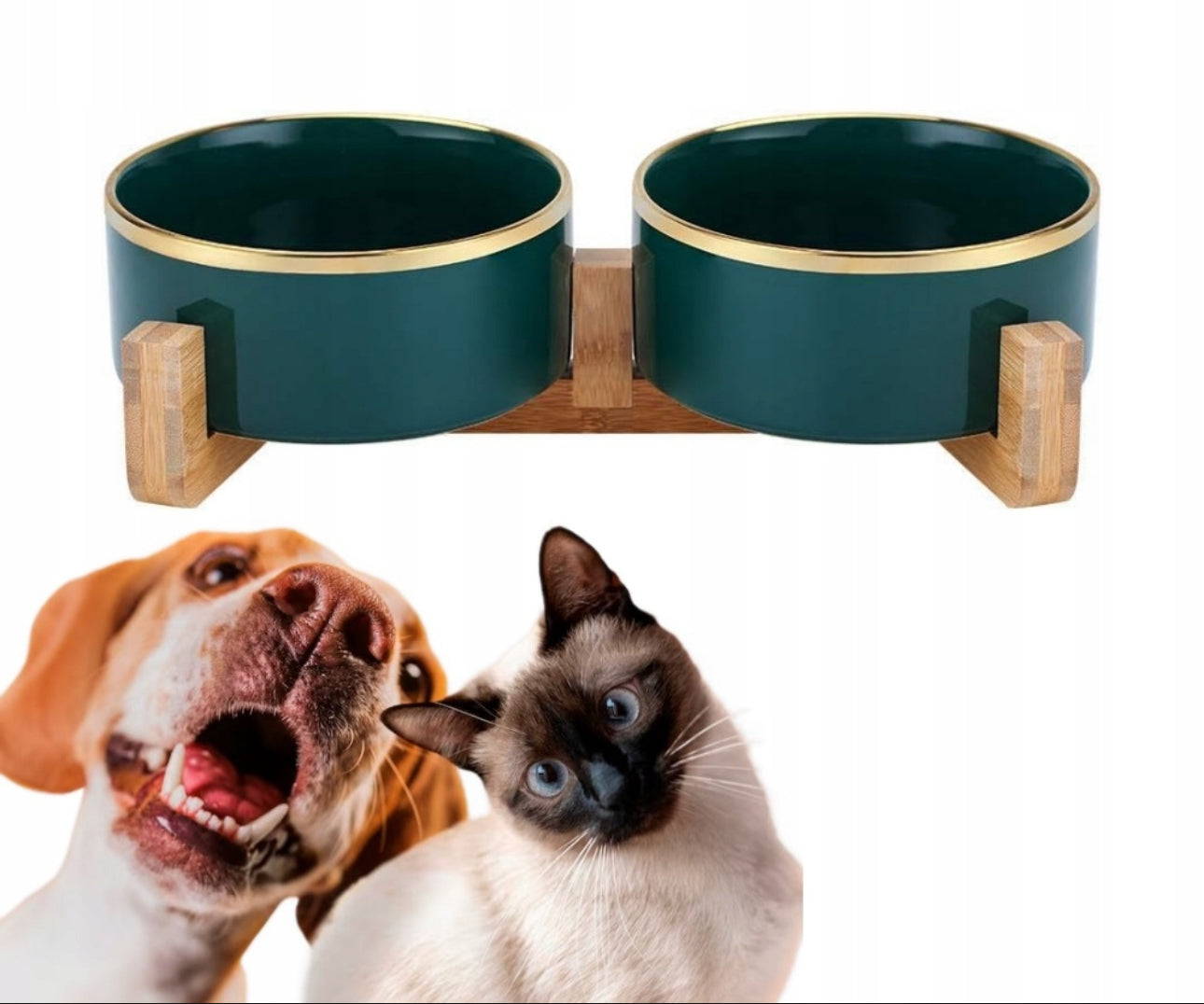 Dobbel keramisk matskål for hund og katt – 2 x 400 ml – grønn med gullkant og stativ i bambus – størrelse 28 x 13 cm – slitesterkt og hygienisk design