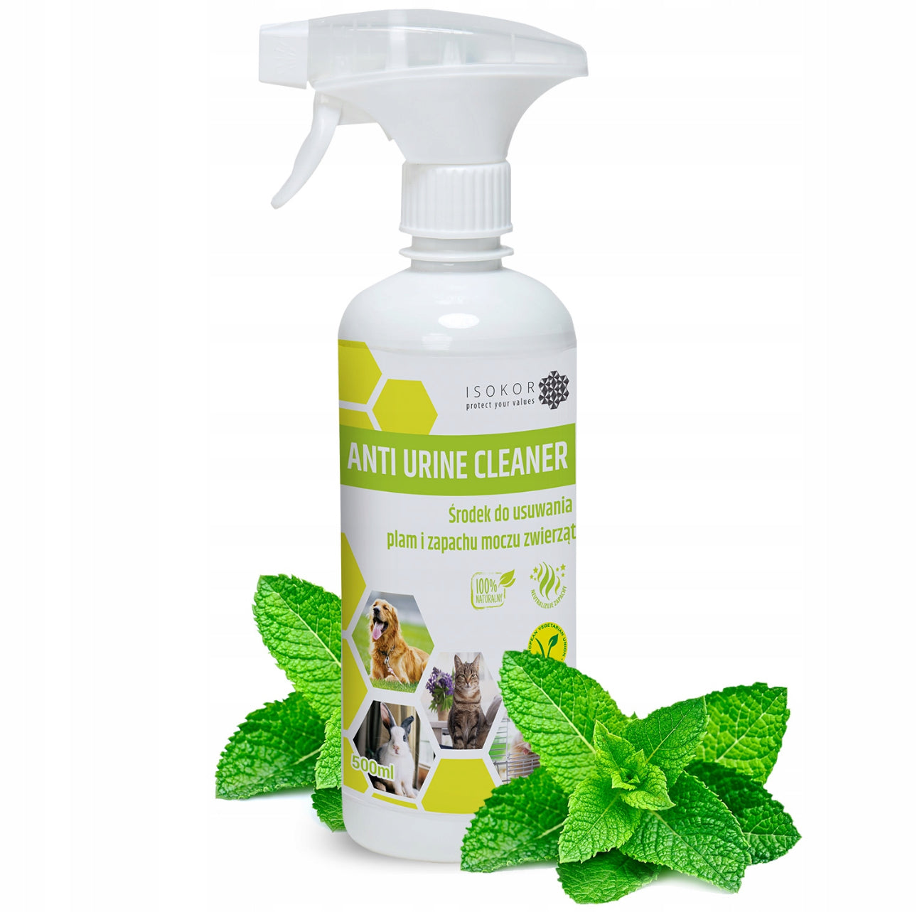 ISOKOR Anti Urine Cleaner 2 x 500 ml – naturlig og vegansk urinfjerner med mynteduft for katt og hund, hvite flasker med grønn etikett, effektiv mot lukt og flekker på alle overflater