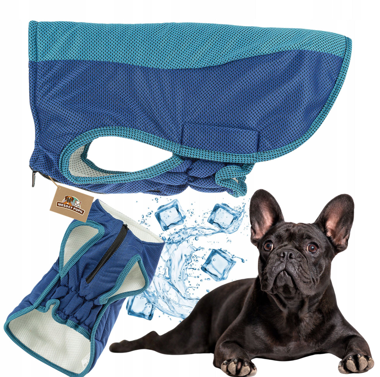 Kjølevest for hund i blått mesh-stoff, tilgjengelig i størrelse Small og Medium, pustende materiale, perfekt for varme sommerdager.