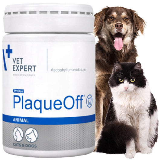 PlaqueOff tannpleiepulver 20g for hund og katt – hvit plastboks med blå detaljer, naturlig algemateriale for daglig tannhelse og frisk pust.