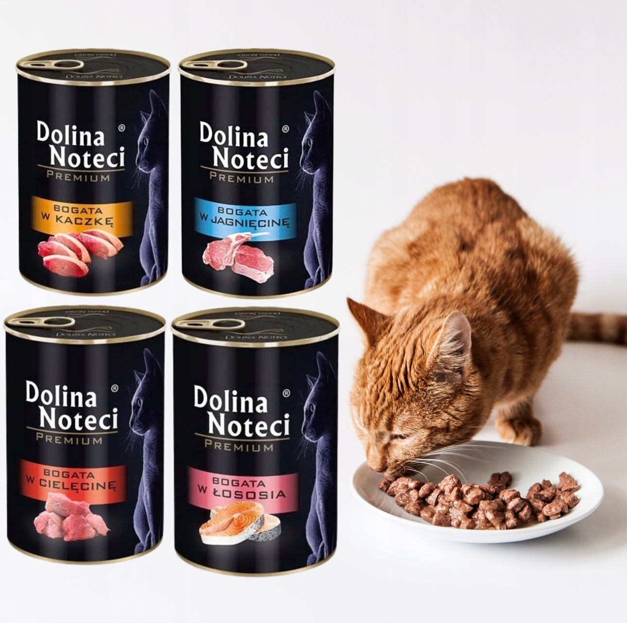 Dolina Noteci våtfôr til katt 24x400g – kornfri kattemat i blandede smaker (laks, kalv, and, lam) – proteinrik og naturlig fôr uten kunstige tilsetninger i sorte bokser.