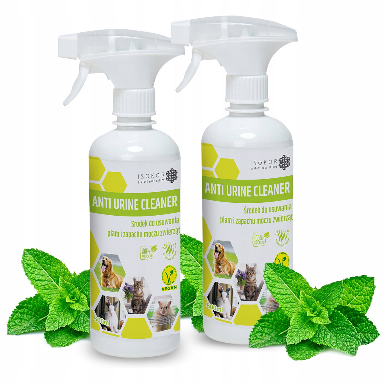 ISOKOR Anti Urine Cleaner 2 x 500 ml – naturlig og vegansk urinfjerner med mynteduft for katt og hund, hvite flasker med grønn etikett, effektiv mot lukt og flekker på alle overflater
