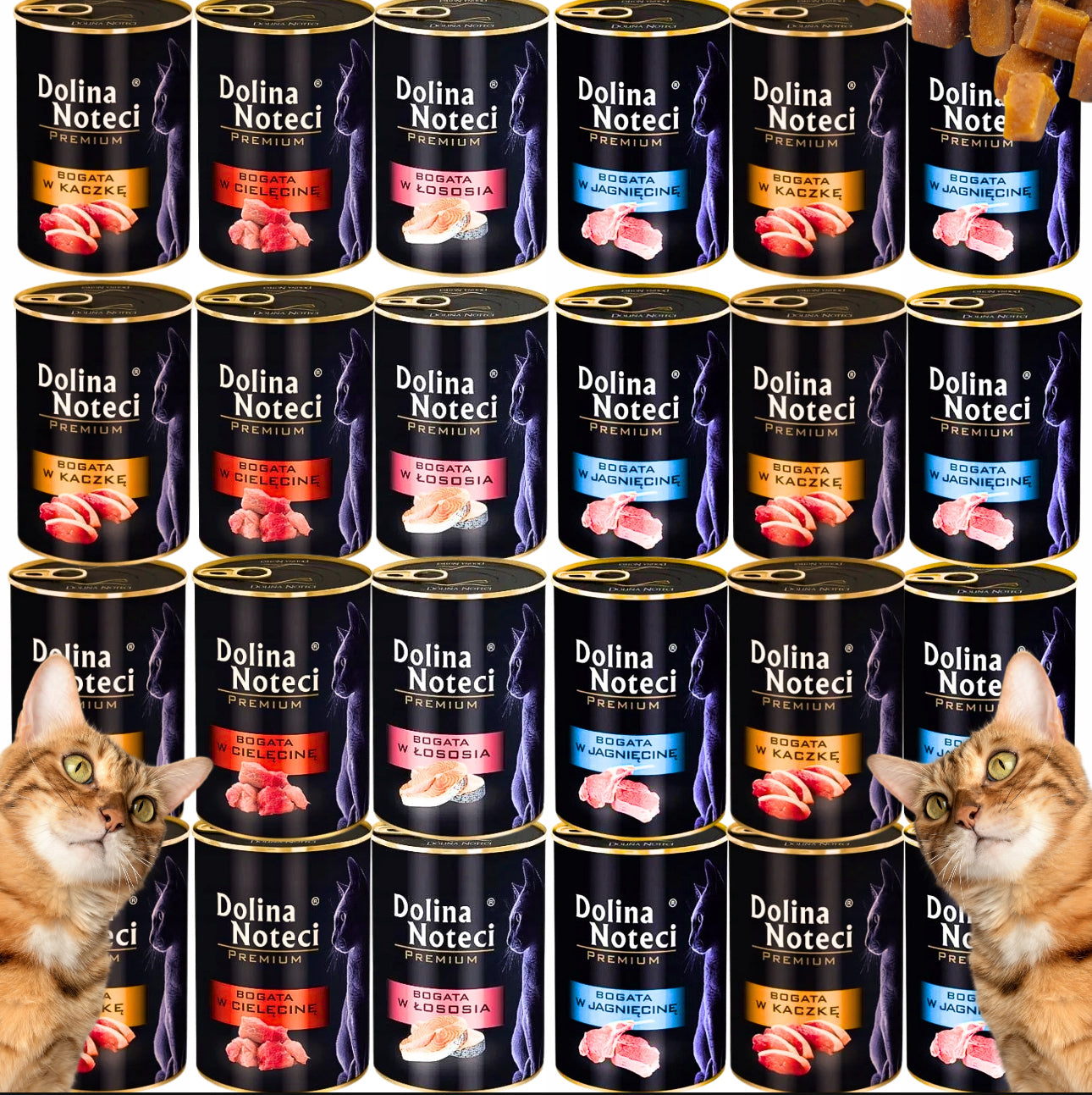 Dolina Noteci våtfôr til katt 24x400g – kornfri kattemat i blandede smaker (laks, kalv, and, lam) – proteinrik og naturlig fôr uten kunstige tilsetninger i sorte bokser.