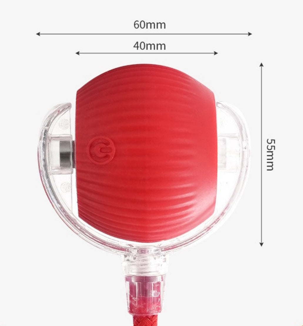 Interaktiv oppladbar katteleke med lys og snor, 6 cm diameter, rød og rosa farge, laget av slitesterk plast – perfekt for aktive katter.